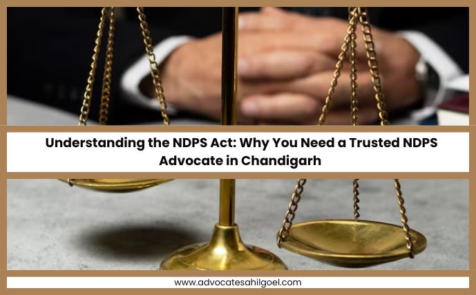 Understanding the NDPS Act: Why You Need a Trusted NDPS Advocate in Chandigarh